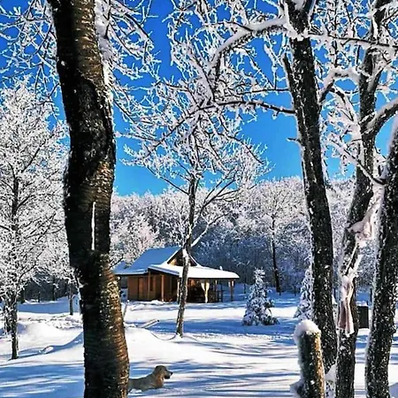 Vihor Vikendica Za Odmor * Tvrdinici